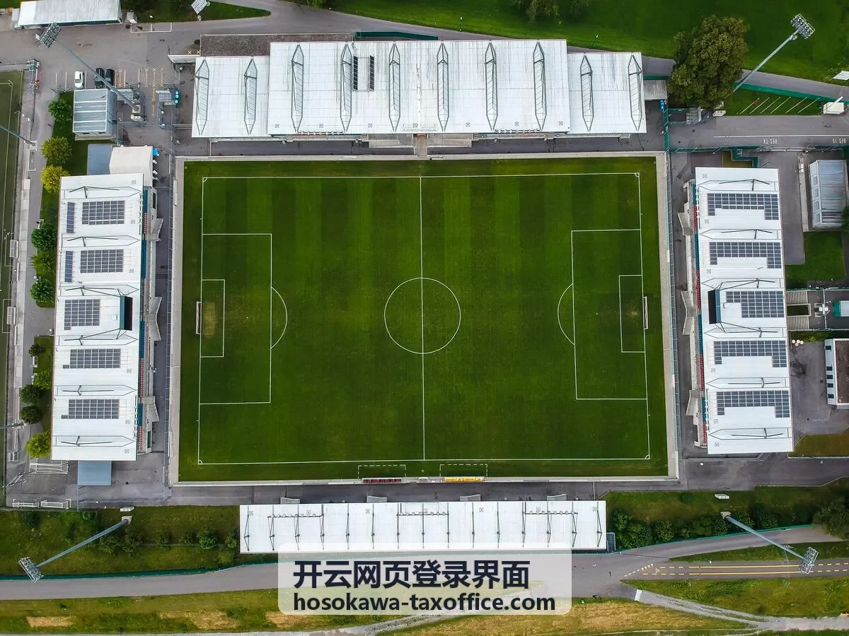 开云网页登录界面移动端与企业账号入口说明